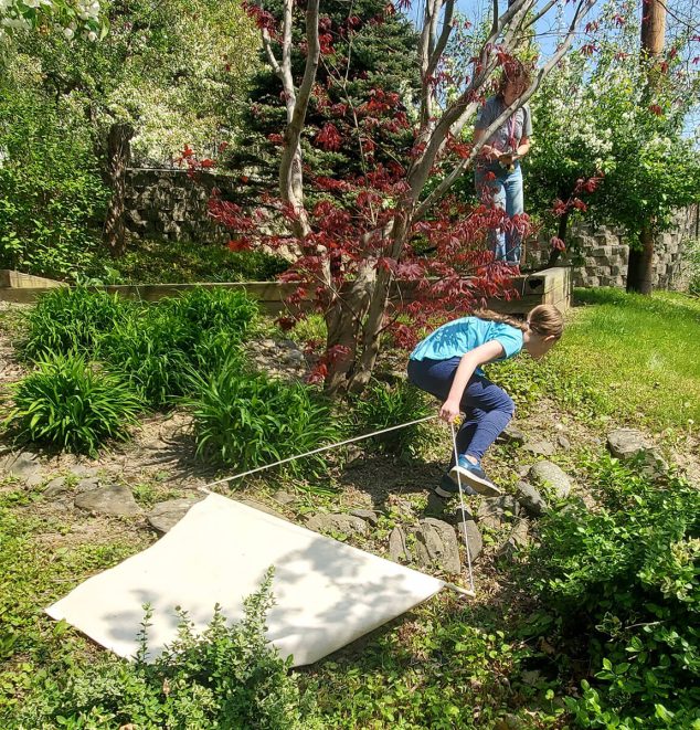Students Explore Ticks and Tick-Borne Diseases In a New 4-H Project Collaboration