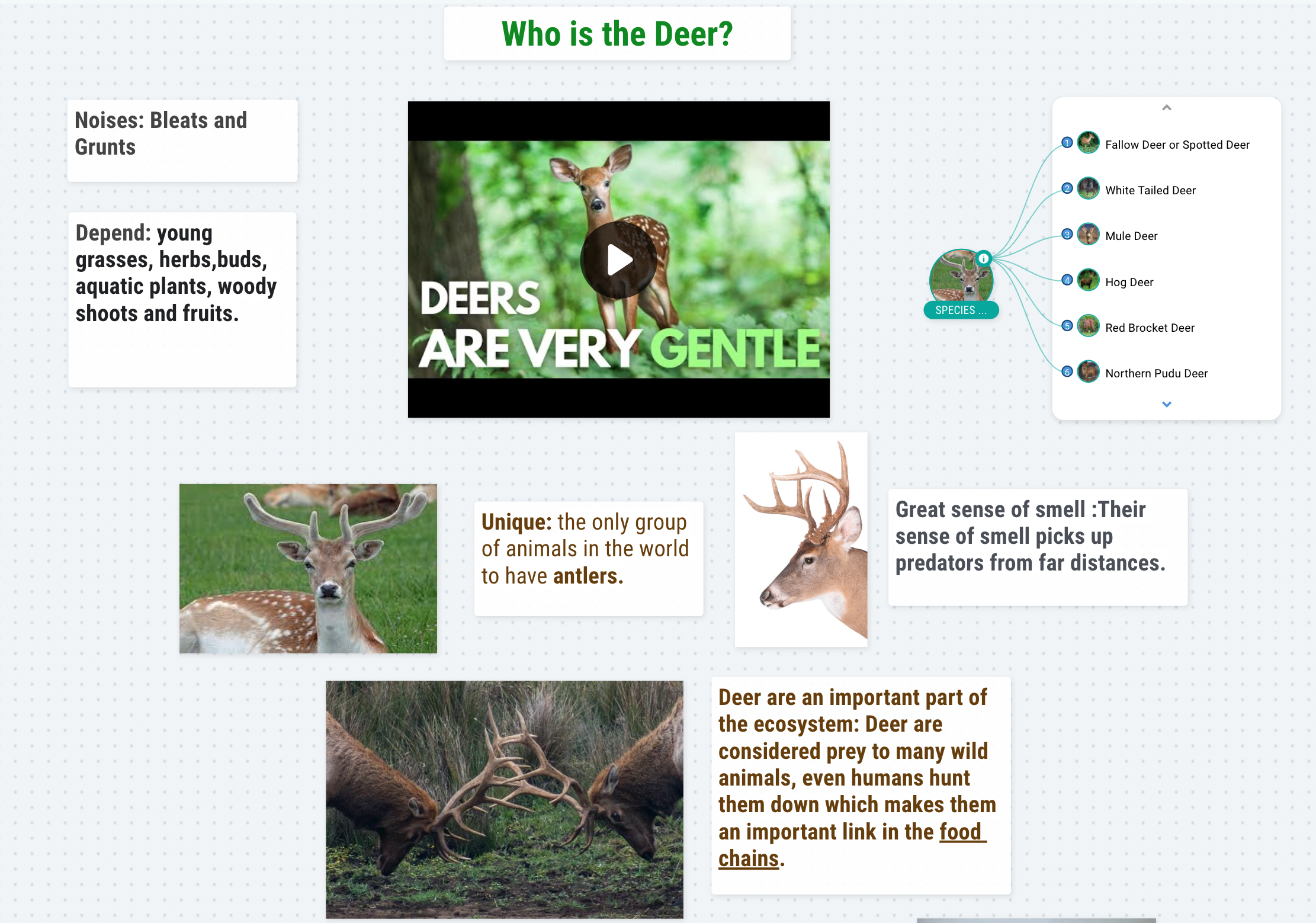 Screen Shot 2022-06-23 at 10.53.45 AM