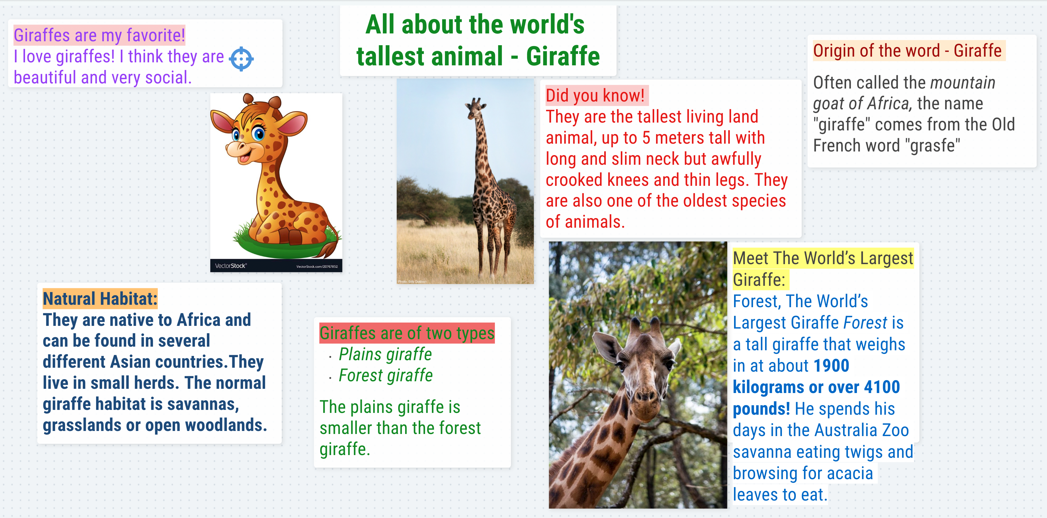 Screen Shot 2022-06-23 at 10.54.12 AM