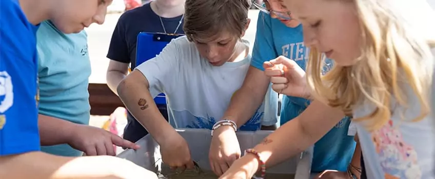 Grant Promotes Climate Change K-12 Education in New Jersey