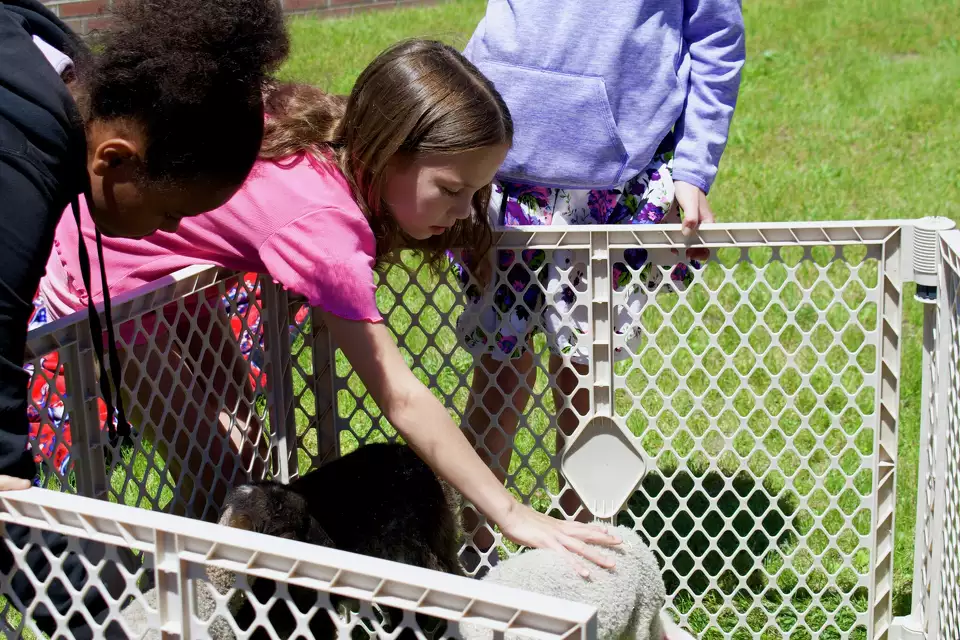 Hands-On Learning in Mecosta Elementary